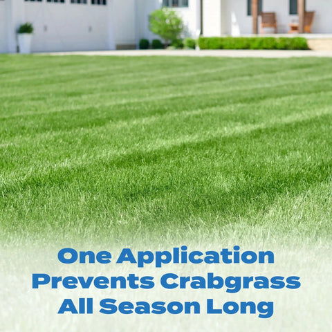 Lawn treated with All Season Crabgrass And Grassy Weed Preventer For Lawns Pre Emergent Weed Control That Stops Chickweed And More