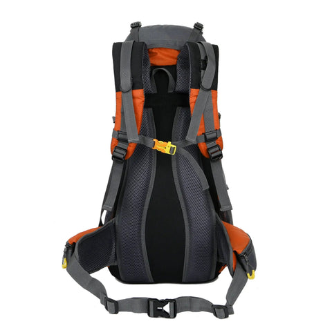Back view of 50L Hiking Backpack For Men With Rain Cover Expandable 45L Plus 5L, Lightweight Camping Travel Pack, orange with padded straps