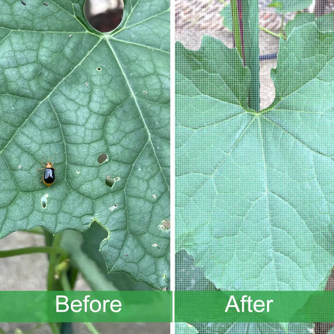 Before and after image of garden leaves with holes and Four By Ten Foot Garden Netting Pest Barrier For Plants Keeps Bugs Out While Air Flows Fine Mesh 0.8mm By 1mm Bird Mosquito Barrier Netting For Garden Greenhouse Row Nets Fruit Trees Vegetables.