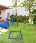 Dog jumping over high bar in 4 Piece Dope Dog Agility Training Course Kit For Backyard Setup And Competition Ready With Adjustable High Jump Weave Poles Pause Box Round Tunnel Stakes And Rope In Blue And Yellow