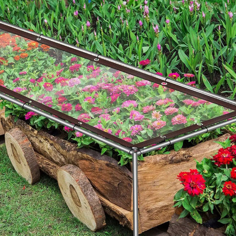 Ultra Clear 4.7 Mil Tarp With Grommets, 8x10 Ft Lightweight Transparent Vinyl Tarpaulin covering flowers in garden