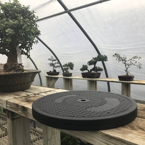 Mini Bonsai Tree Turntable With A Twelve Point Five Inch Base And Stainless Steel Ball Bearings 360 Degree Rotation