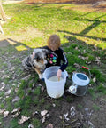Child and dog interacting with a bucket in garden area, product concept 50 Million Live Beneficial Nematodes for Pest Control
