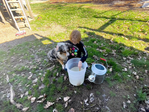 Child and dog interacting with a bucket in garden area, product concept 50 Million Live Beneficial Nematodes for Pest Control
