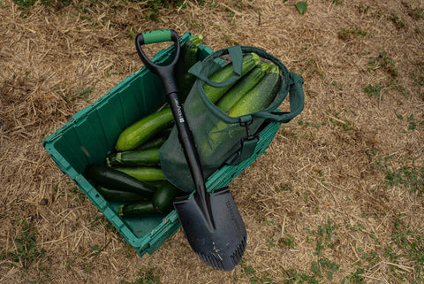 Mini Digging Shovel Built Tough With Heavy Duty Carbon Steel Head And Serrated Blade placed on zucchini box, outdoor setting.