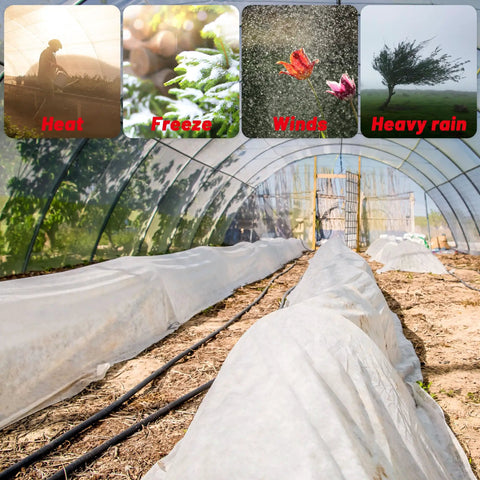 Six Point Five Feet By Nine Point Eight Feet Clear Greenhouse Plastic Sheeting Durable Polyethylene Film For Farm And Garden Transparent Tear Resistant Greenhouse Covering Heavy Duty Plastic Film