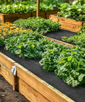 Raised garden beds using Heavy Duty Weed Barrier Landscape Fabric For Gardens And Lawns, Premium Weed Control, 4 Feet By 50 Feet.