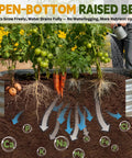 Cross-section of Galvanized Raised Garden Bed 4x2x1ft Planter Box For Vegetables, illustrating root growth and nutrient flow.