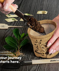 Bonsai Starter Kit With Five Varieties Black Locust Blue Jacaranda Crape Myrtle Pigeon Pea Delonix Regia showing soil and tools.