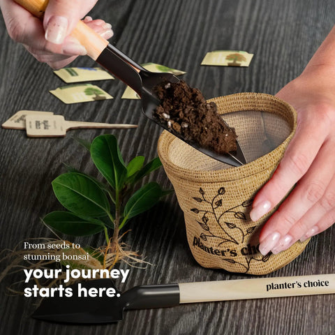 Bonsai Starter Kit With Five Varieties Black Locust Blue Jacaranda Crape Myrtle Pigeon Pea Delonix Regia showing soil and tools.