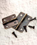Close-up of Two Size Bronze Mini Hinge Set With 60 Small Hinges And 300 7 Mm Screws In Clear Storage Box For Dollhouse Doors Cabinets Crafts Wooden Jewelry Boxes And Outdoor Decor Totally DIY Ready