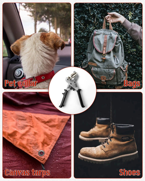 DIY Grommet Kit With 3/8 Inch Metal Grommets and Tool Set with applications on pet collar, bags, canvas tarps, and shoes.