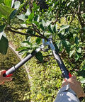 Heavy Duty Lopper With Compound Action Tree Cutter For Thick Branches Up To 1.6 Inches in use, cutting branch