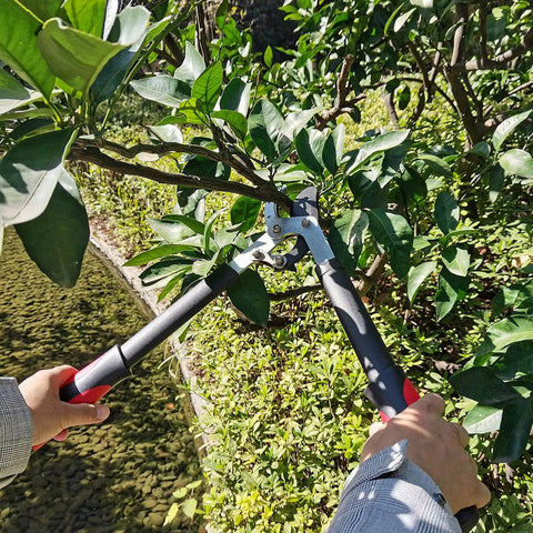 Heavy Duty Lopper With Compound Action Tree Cutter For Thick Branches Up To 1.6 Inches in use, cutting branch