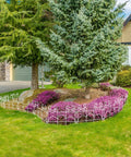 Decorative Garden Fence Border Panel Set 10 Pack With Easy Install No Dig Movable Metal Edging around flower bed and tree.