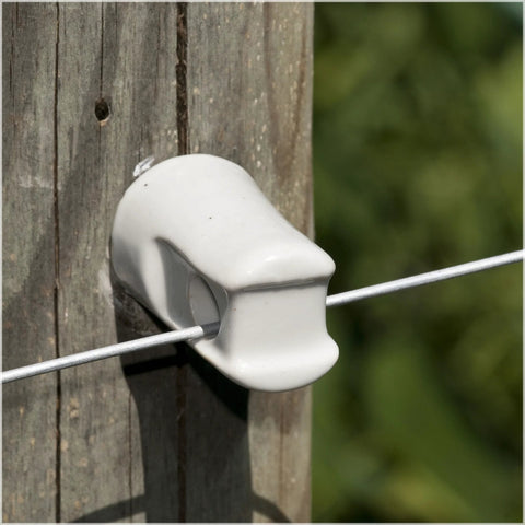 Zareba WP1933 ceramic lag screw insulator, white, installed on a wooden post with a wire passing through.