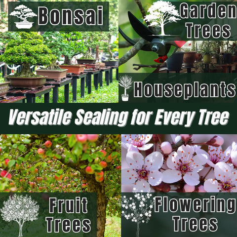 New Bonsai Pruning Sealer Paste 100g From Japan For Quick Dry Fast Healing After Pruning Or Grafting shown with various trees