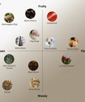 Hotel Wood Scent Reed Diffuser With Sticks 16.9 Fl Oz 500 Ml Large Home Fragrance scent chart with various aromas displayed
