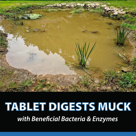MuckOff Pond Muck Treatment For Water Gardens And Bird Baths With Natural Bacteria And Enzymes near a pond.