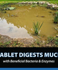 MuckOff Natural Pond Muck Treatment For Water Gardens Fountains And Bird Baths Sludge Be Gone shown treating pond