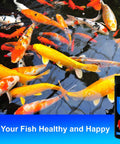 Game Changer 7 In 1 Pond Water Test Kit With 50 Strips For Fish Tanks And Koi Ponds next to colorful koi swimming in pond.
