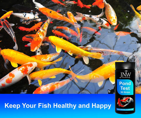Game Changer 7 In 1 Pond Water Test Kit With 50 Strips For Fish Tanks And Koi Ponds next to colorful koi swimming in pond.