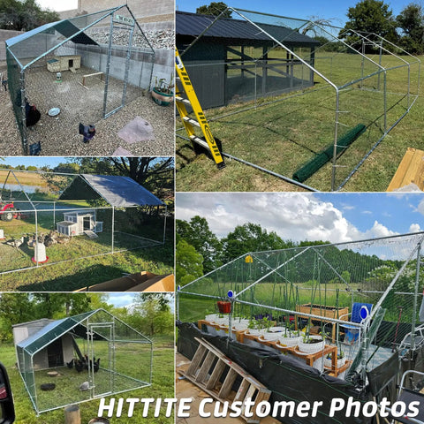 Collage of large outdoor metal chicken coop with walk-in run, galvanized frame, waterproof roof, varying backyard settings.