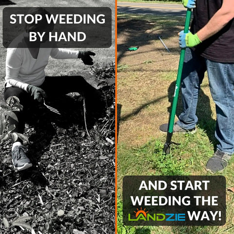 Person using stand up weeder tool with 55 inch steel long handle for easy root removal in lawns and gardens, claw and lever mechanism