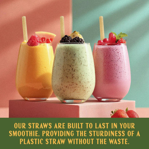Jumbo Agave Straws Bulk Pack 1500 Count For Smoothies, Eco Friendly Compostable Drinking Straws Made From Upcycled Agave, Durable No Soggy Finish, Sustainable Everyday Use For Home And Parties, in three smoothie glasses