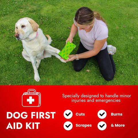Woman using Cat And Dog First Aid Kit For Home And Travel With Thermometer Wound Care Supplies Bandages Antiseptic Essentials In A Medium Travel Bag Vet Designed For Emergencies on a dog outdoors.