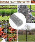 Heavy Duty Galvanized Welded Wire Fence Roll 4 Ft By 100 Ft With 2x4 Inch Mesh, 16 Gauge Hardware Cloth For Strong Backyard Protection And Poultry Netting, Garden Fence. Vegetable plant protection