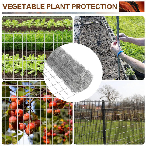 Heavy Duty Galvanized Welded Wire Fence Roll 4 Ft By 100 Ft With 2x4 Inch Mesh, 16 Gauge Hardware Cloth For Strong Backyard Protection And Poultry Netting, Garden Fence. Vegetable plant protection