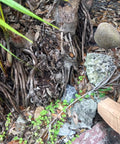 Realistic Outdoor Fake Rock Key Hider Safe Box With Secret Compartment for yard and garden next to tree roots and foliage