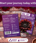 Front and back view of Chocolate Cherry Sunflower Seeds For Planting Heirloom Non GMO Organic Variety Easy Grow Tall Pack