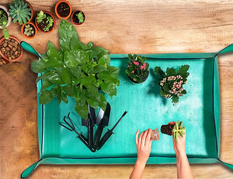 Two Pack Extra Large Plant Repotting Mat For Indoor Plants Waterproof PVC Potting Tray 43.3 By 29.5 Inches Foldable Mess Control Stain Resistant Portable Work Surface For Houseplants Succulents And Garden Projects