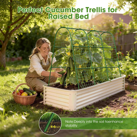 U Shaped Garden Trellis for Climbing Plants and Cucumbers in Raised Beds providing plant support outdoors
