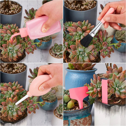 24 Piece Mini Garden Tools Kit For Succulents And Fairy Gardens with watering bottle, brush, shovel, and label in use.