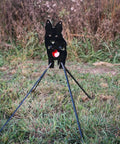 AR500 Steel Target Front View Coyote Target with stand on grass, suited for thermal scopes and shooting practice