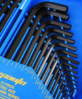 30-Piece Hex Key Set With Long Arm SAE And Short Arm Metric Allen Wrenches, Durable Storage Case, organized metric sizes