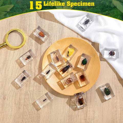 15 Varied Insect Specimens Resin Set With Real Butterflies And Beetles For Science Classrooms And Biology Labs including storage bag and magnifying glass displayed on wooden surface