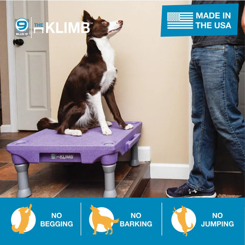 Dog sitting on KLIMB Dog Training Platform and Agility System for Indoor and Outdoor Use showing no begging, barking, jumping.