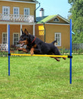 Dog jumping over Adjustable Dog Agility Jump Hurdle for Backyard Obstacle Course Portable Training Bar, lightweight and easy setup
