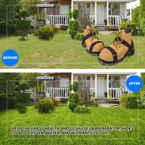 Before and after lawn image with Pre Assembled Lawn Aerator Shoes For Grass With Aluminum Base, Adjustable Velcro Straps, Medium Size Black