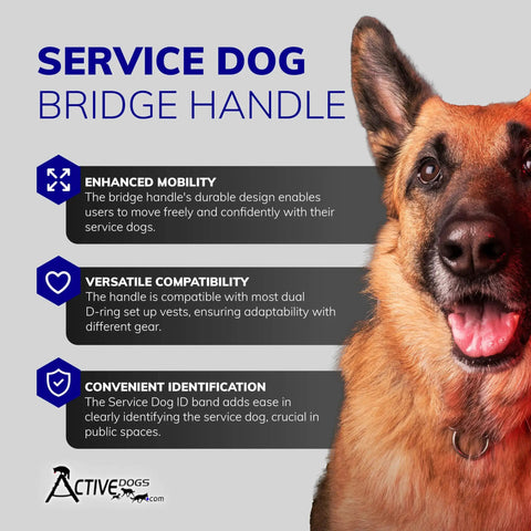 12 Inch Service Dog Handle Bridge Attachment For Harnesses Heavy Duty Nylon Webbing With Soft Neoprene Grip Adjustable Universal Pet Control Tool That Delivers Rock Solid Daily Walking Ease