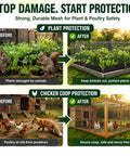 Before and after images showing Heavy Duty 304 Stainless Steel Hardware Cloth 1/2 Inch 20 Gauge Welded Mesh Chicken Wire Fencing use for plant and chicken coop protection.