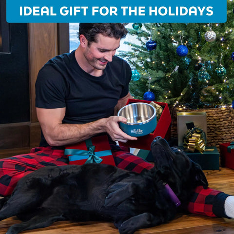 Man holding Game Changer Rock Solid Extra Thick Stainless Steel Dog Bowl 64 Oz with happy black dog in a festive setting.