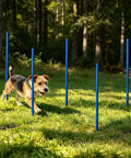 Dog navigating Adjustable Agility Jumps With Weave Poles Three In One Backyard Outdoor Obstacle Course Training Set Easy Setup Height Adjustable 0 To 31 Inches Ground Anchors Included in a grassy field.