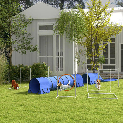 Dogs enjoying 7 Piece Dog Agility Training Kit with tunnels, weave poles, adjustable hurdles, jump ring, in backyard.