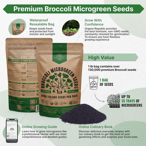 Broccoli Sprouting And Microgreens Seeds Kit 1 Lb Resealable Bag Non GMO Heirloom Sprout Seeds For Soil Coconut Coir Aerogarden And Hydroponics Perfect For Growing Microgreens At Home front view with seeds displayed.