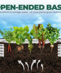 Galvanized Raised Garden Bed 6x2x1 Ft Easy Setup Outdoor Planter Box with open base and vegetables growing